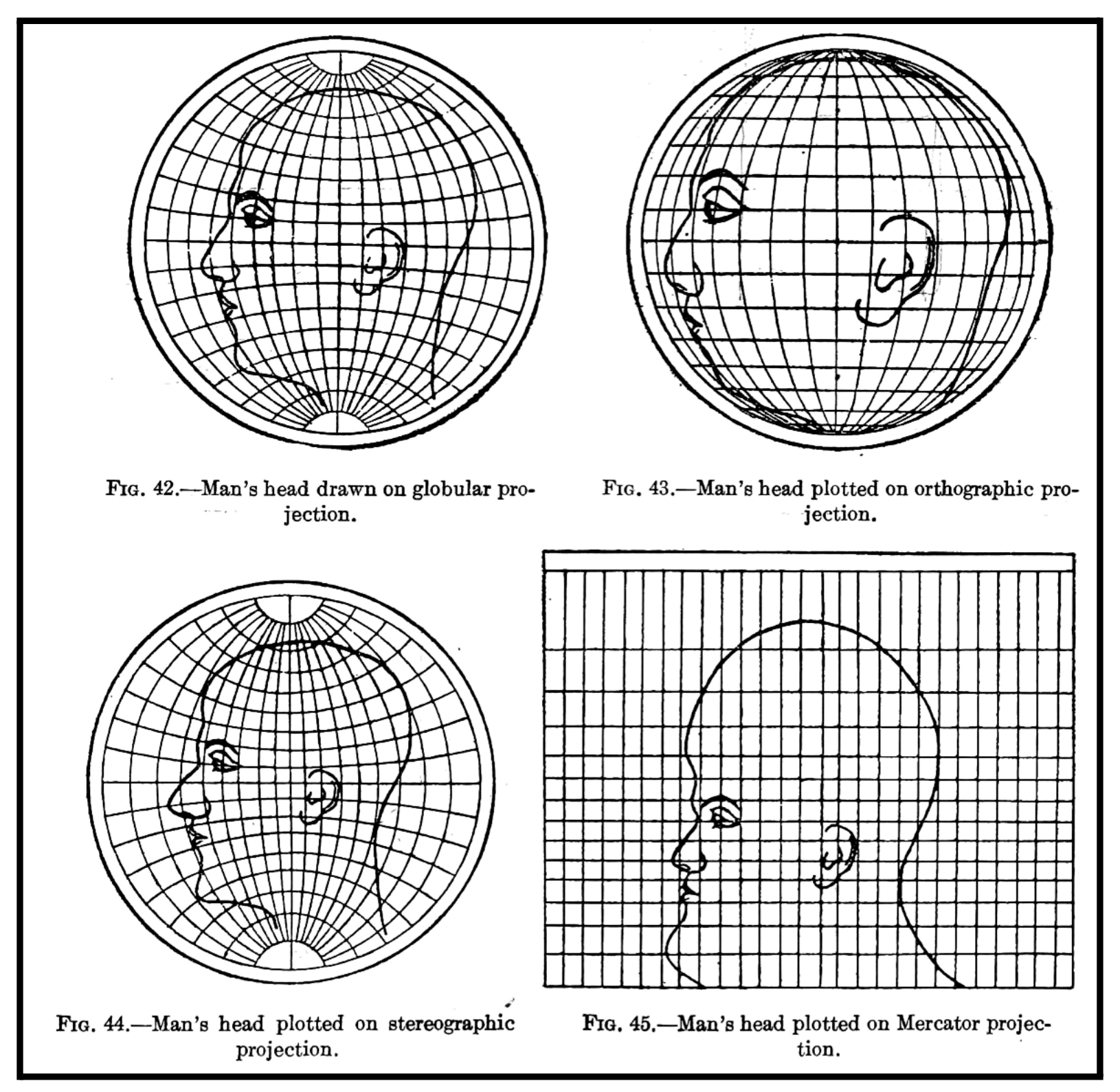 Four drawings of a man's head plotted on globular, orthographic, stereographic, and Mercator projections, showing how each projection distorts the face differently
