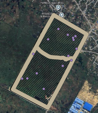 Example site with the canal centerlines buffered into a tan flood hazard zone and purple protected-area points scattered across the farmland plots